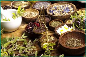 Medicinal herbs to treat chronic prostatitis